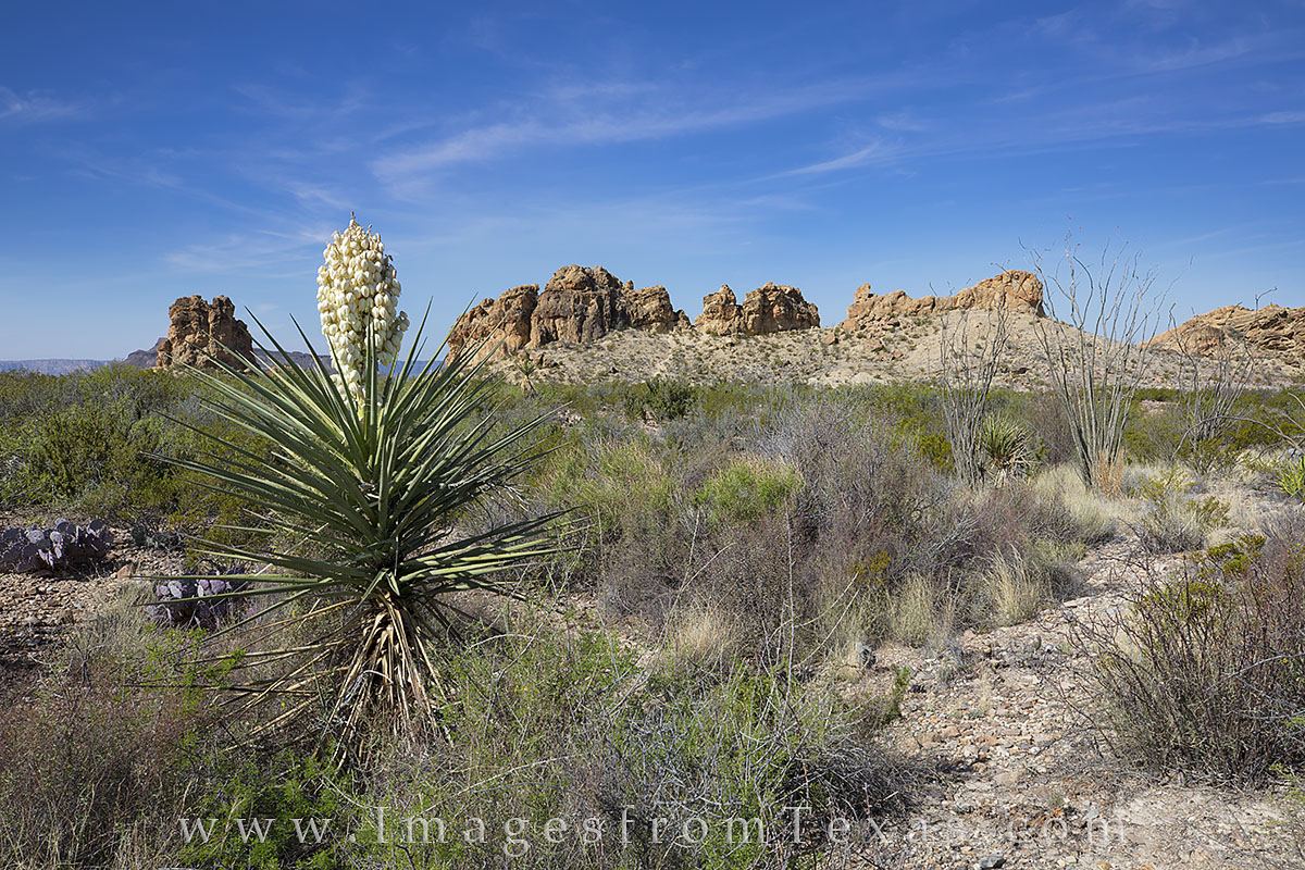 big bend national park, the chimneys, petroglyphs, chihuahuan desert, texas hikes, hiking in texas, chisos mountains