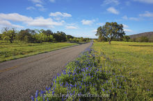 Early Spring Texas Hill Country Roads 2