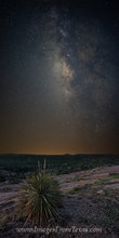 The Milky Way over Enchanted Rock 2