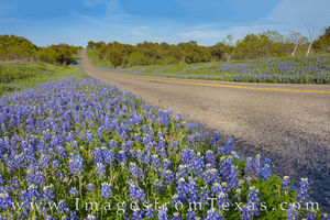 Bluebonnet Drives in the Hill Country 331-2