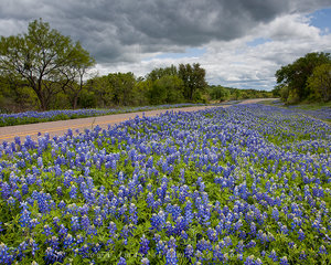 The Hill Country Road Less Traveled