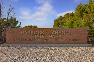 Caprock Canyons Entry Sign 1