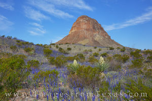 Cerro Castellan from River Road West and Bluebonnets 1