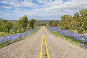 Country Roads and Texas Bluebonnets 1