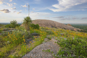 Enchanted Rock and Texas Wildflowers 1