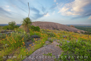 Enchanted Rock and Texas Wildflowers 2