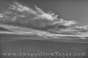 Sand Dunes Spring Sunset Black and White 1