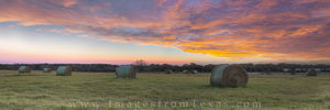 Texas Hay Field Panorama at Sunrise 1