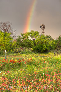 Texas Windmill and Rainbow