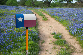 A Mailbox, a Texas Flag, and bluebonnets