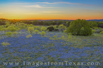 Aerial Bluebonnet Sunset in the Hill Country 413-1
