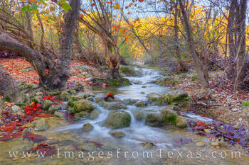 Autumn along Barton Creek 1129-2