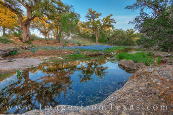 Bluebonnet Pool Late Afternoon 1