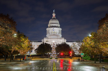 Christmas Tree Texas State Capitol 1