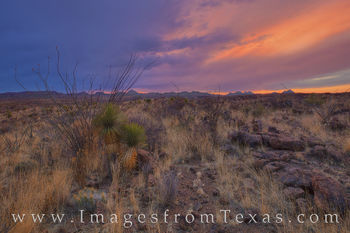 Colors of the Desert - Big Bend Ranch 427 1