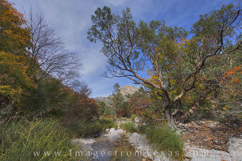 Guadalupe Mountains Fall Colors 2