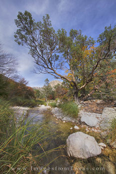 Guadalupe Mountains Fall Colors 3