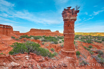 A hoodoo stands tall in Caprock Canyons State Park.