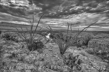 Hot Springs Canyon Morning  Black and White 1001-1