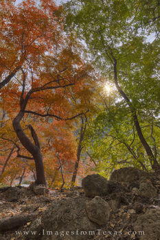 McKittrick Canyon Autumn 2