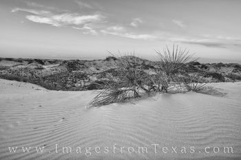 Monahans Sand Dunes Sunset Black and White 1