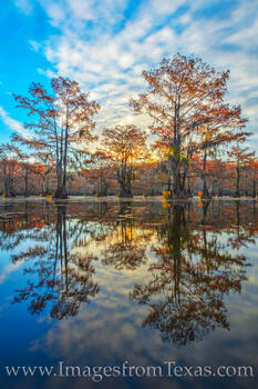 Sunrise over Benton Lake in east Texas (part of the Caddo Lake system) on a glorious Autumn morning was beautiful.