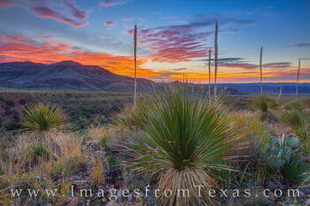 A beautiful sunset ends a cool November day in Big Bend National Park.