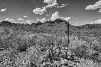 Old Fence in Big Bend Ranch 1 Black and White