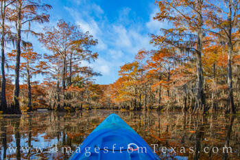 Paddling Caddo Lake in Autumn is an unforgettable experience.