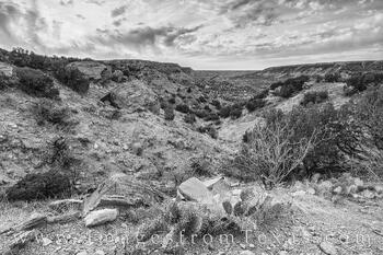 Palo Duro Morning in Black and White 52