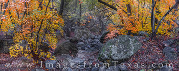 Pine Canyon Autumn Panorama 1