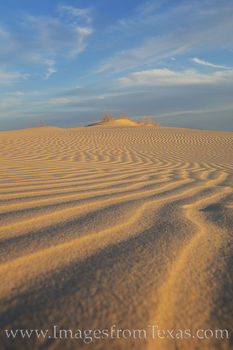 Sandhills Sand Dunes Late Afternoon 3