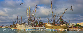 Shrimp Boats in Port Isabel Panorama 510-1