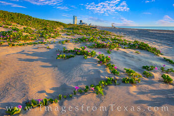 Summer Morning on South Padre Island 1