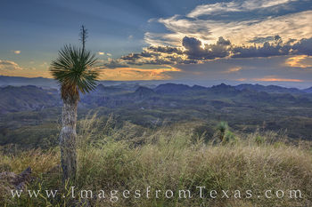 Sunrays over Oso Peak - Big Bend Ranch State Park 1