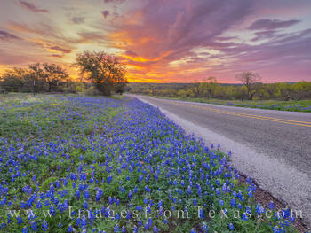Sunrise Drive Hill Country Springtime 319-2