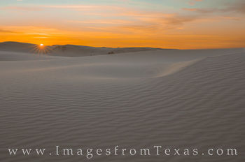 Monahans Sandhills State Park Images and Prints