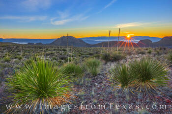 Sunrise on Pine Canyon Trail 1115-1