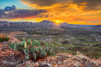 Big Bend Ranch State Park Images and Prints
