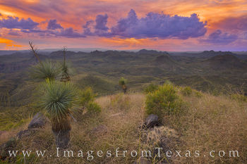 Sunset from Oso Peak, Big Bend Ranch 3