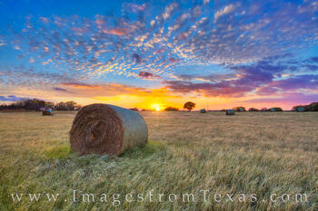Sunset over Texas Hay Bales 1