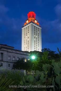 Texas Tower from the East Mall 1