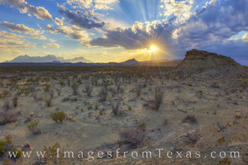 Tornillo Flats and the Chisos at Sunset 1