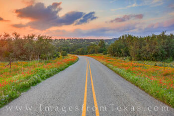 Wildflower Drive in the Hill Country 510-4.tif