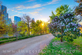 Zilker Trail on a Spring Morning 402-1-1