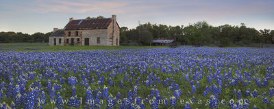 Bluebonnets in Marble Falls Panorama 2