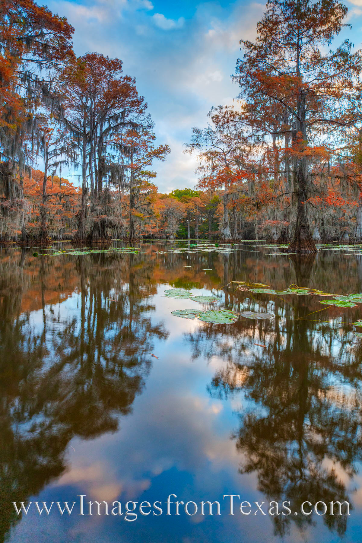 Clouds raced overhead on this colorful Fall morning at Caddo Lake. Seen here from Mill Pond in the state park, the cypress trees...
