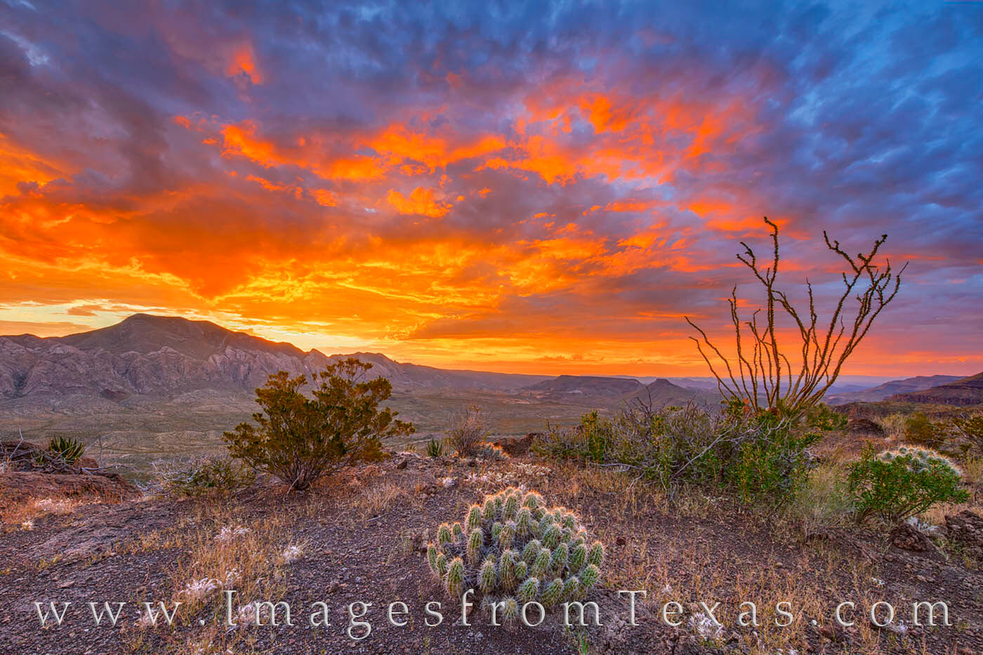 Big Bend Ranch at Sunrise overlooking Fresno Canyon and the Solitario.