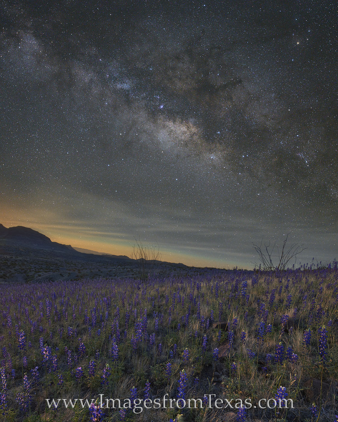 This image of the Milky Way over Big Bend National Park and a stretch of bluebonnets is a composite of two images. The first...