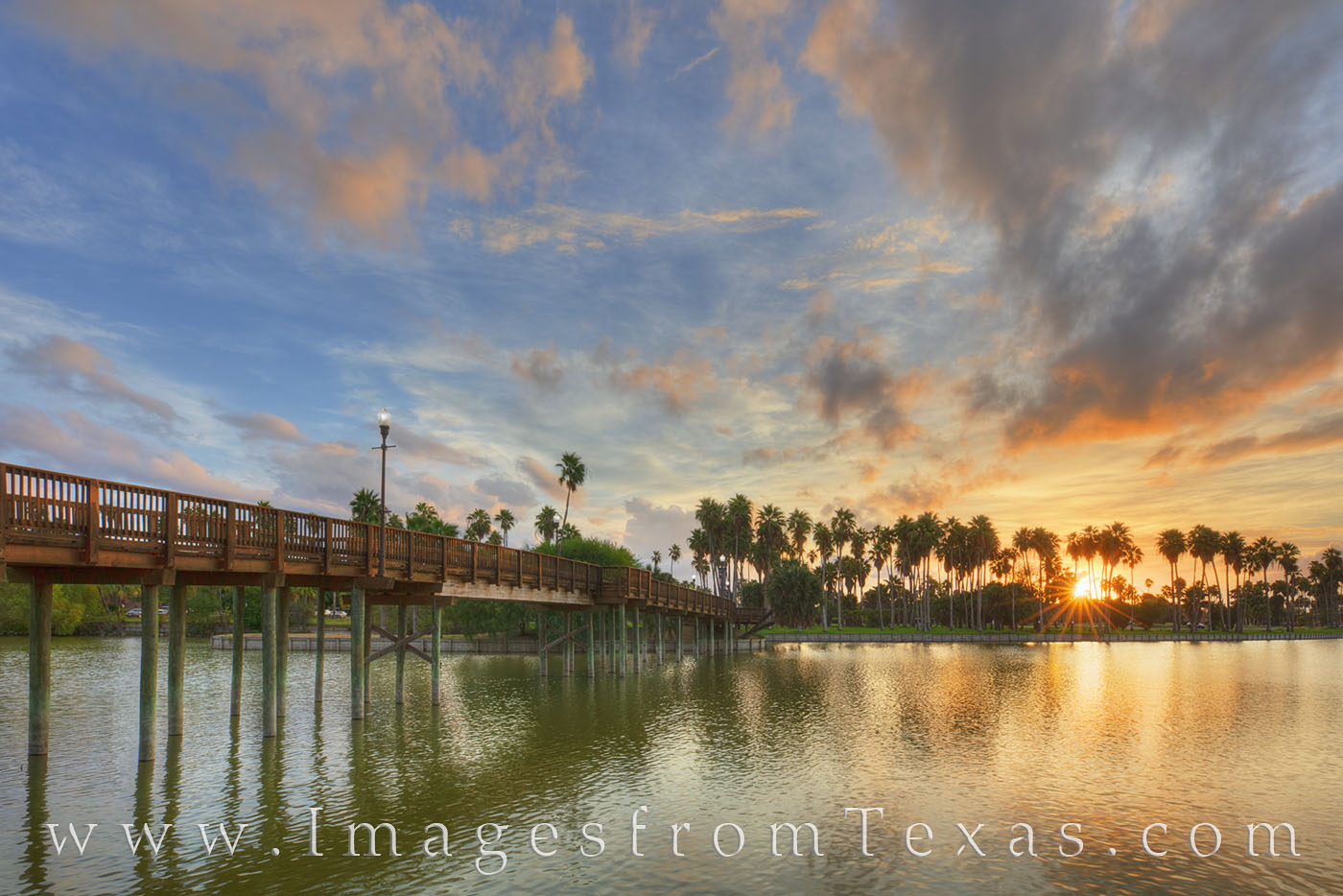 The last light of day peeks through the palm trees and shimmers over a resaca in Brownsville, Texas. These waterways are found...